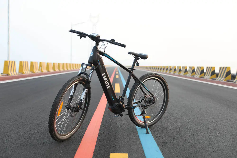 Netuno Pro elektrische mountainbike