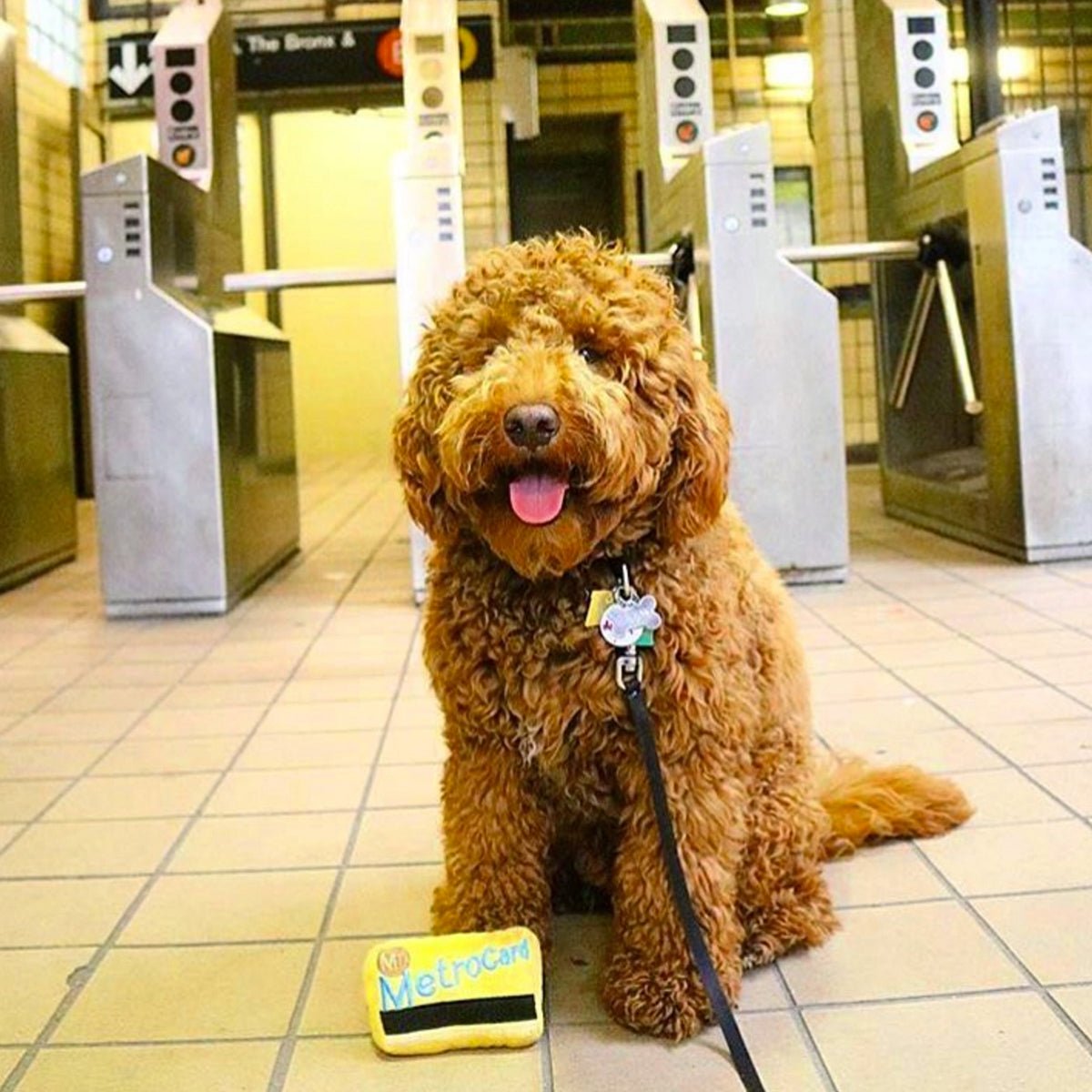 MTA NYC Metrocard Plush Dog Toy