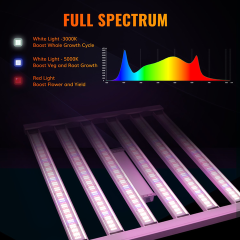 LED Grow Lights for Plants