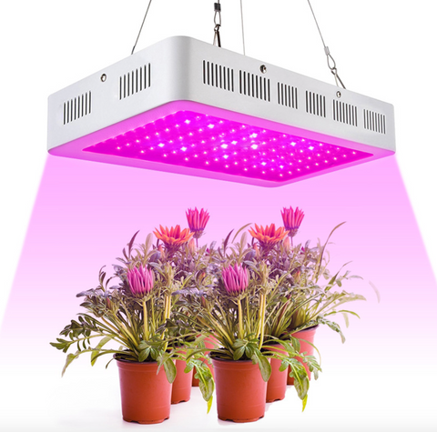 Led Grow Lights Factory