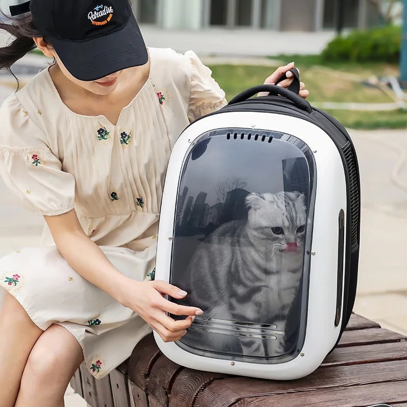Large Size Hard Cat Carrier With Big Transparent Window