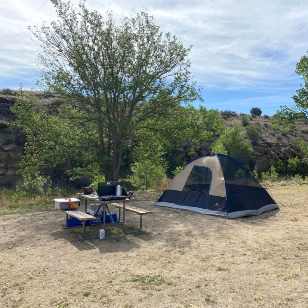 camping tents 