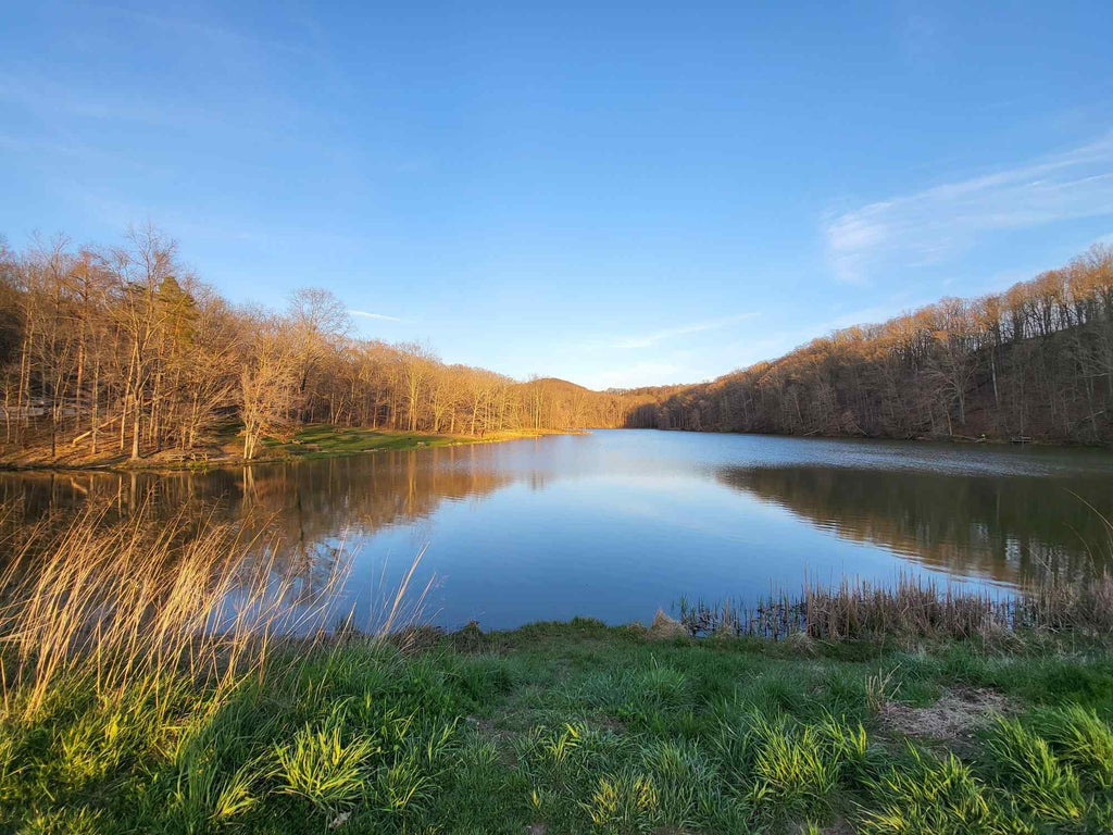 Camping in Brown County State Park 