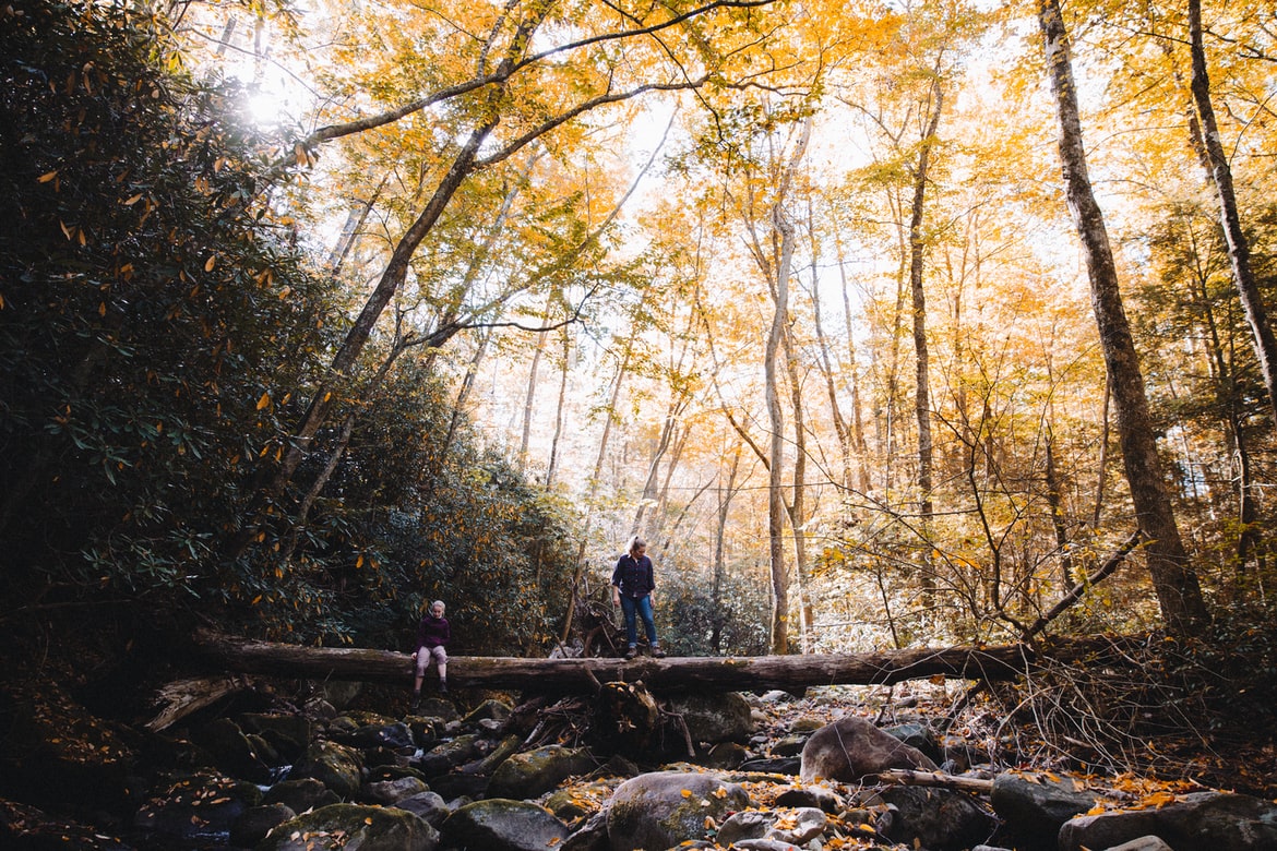 camping in Cherokee National Forests with AceVolt solar generator