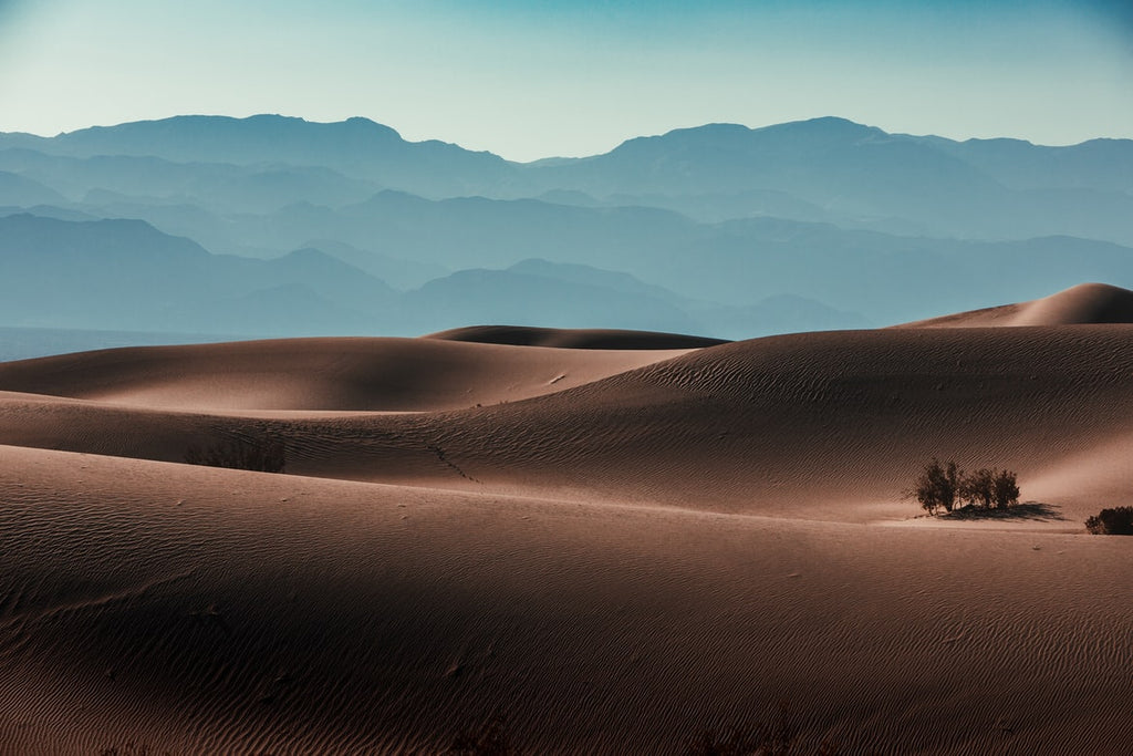 Plan your trip to Death Valley 