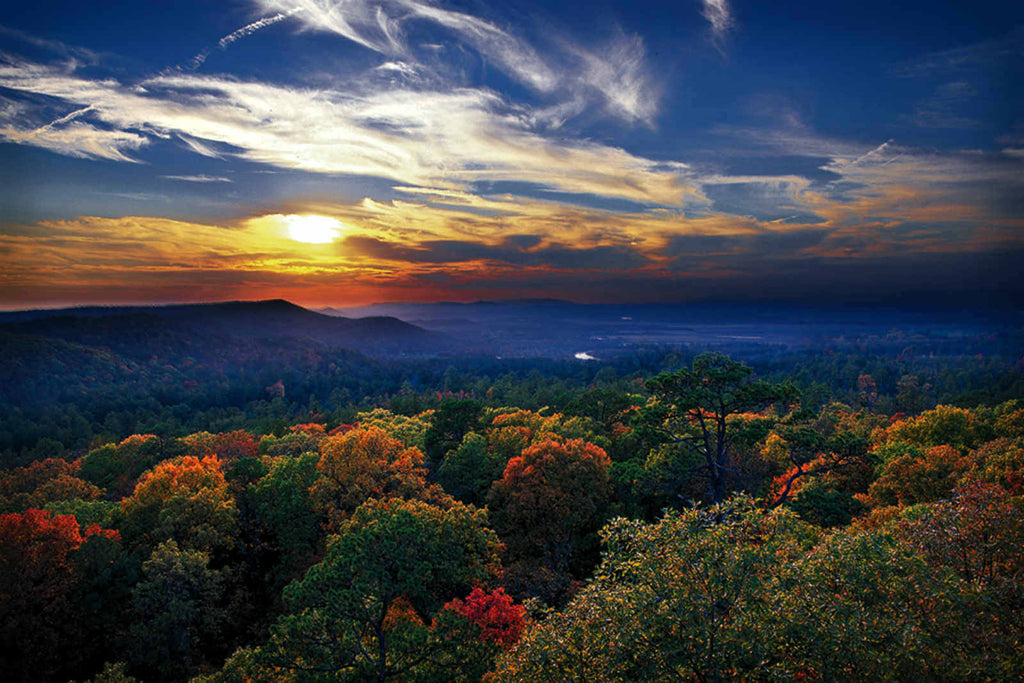 Dogwood Springs Campground