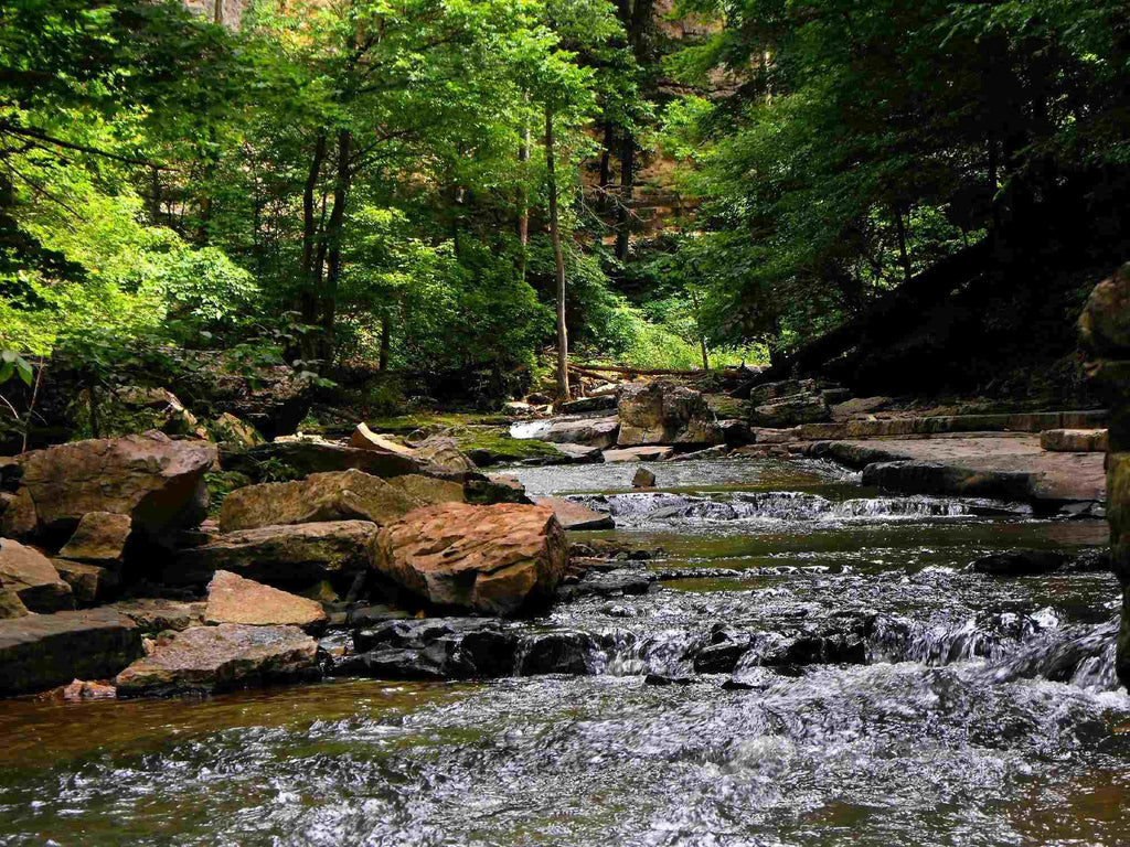 Camping in McCormick's Creek State Park