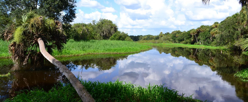 Tent Camping in Myakka River State Park, Sarasota with AceVolt portable power station