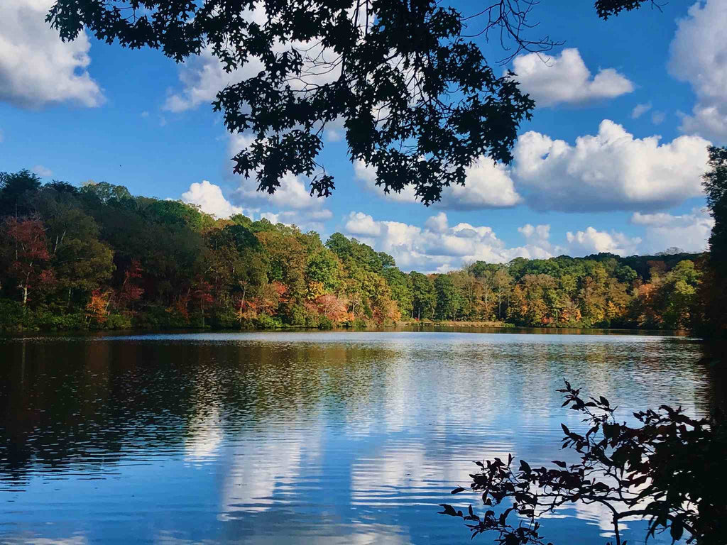 camping in Natchez trace state park 