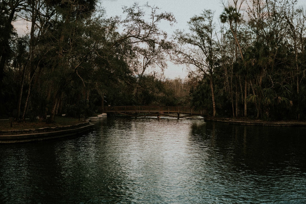 Camping in Wekiwa Springs State Park with AceVolt Campower solar generator