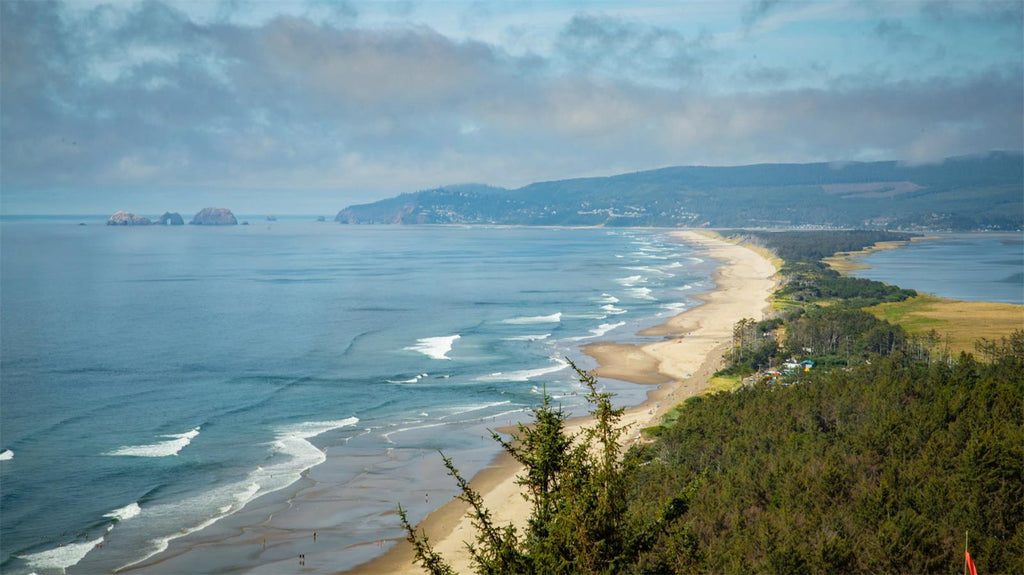 camping in Cape Lookout State Park Tillamook