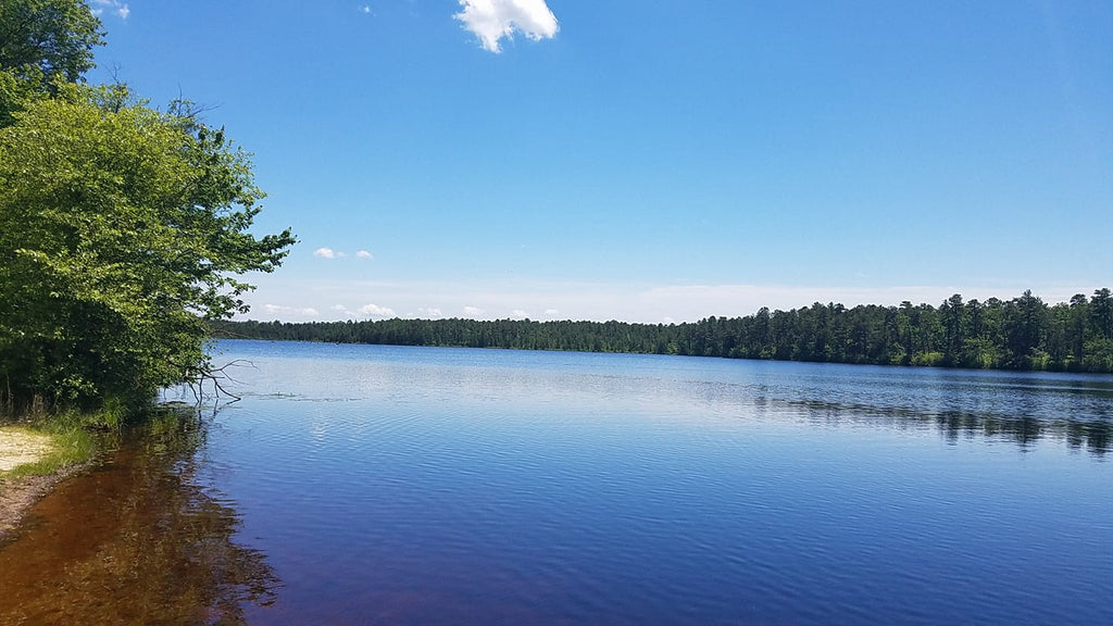 camping in brendan T byrne state forest