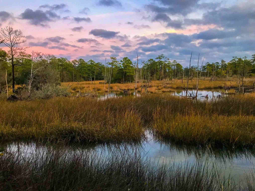 camping in first landing state park