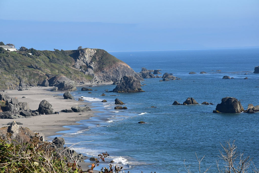 camping in Harris Beach State Park, Brookings