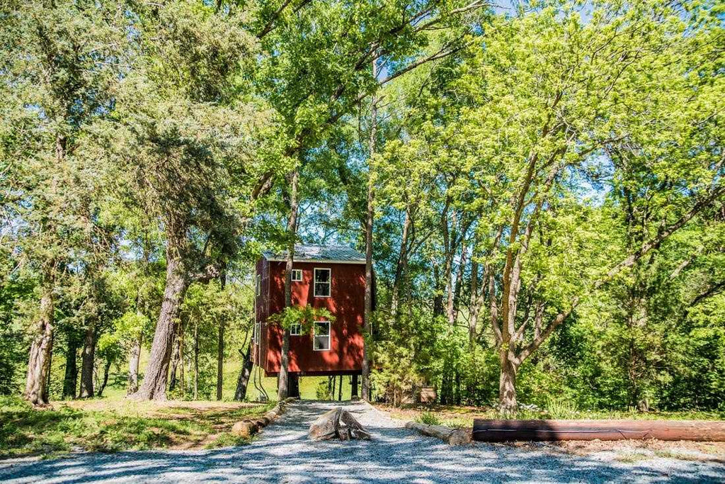 camping in Treehouse Vineyards