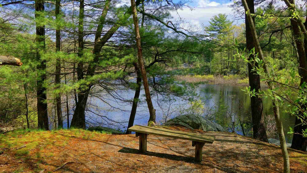 camping in Wompatuck State Park