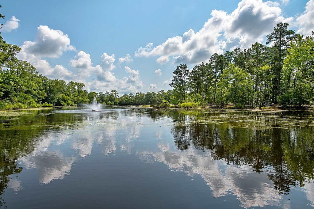 camping in chestnut lake campground