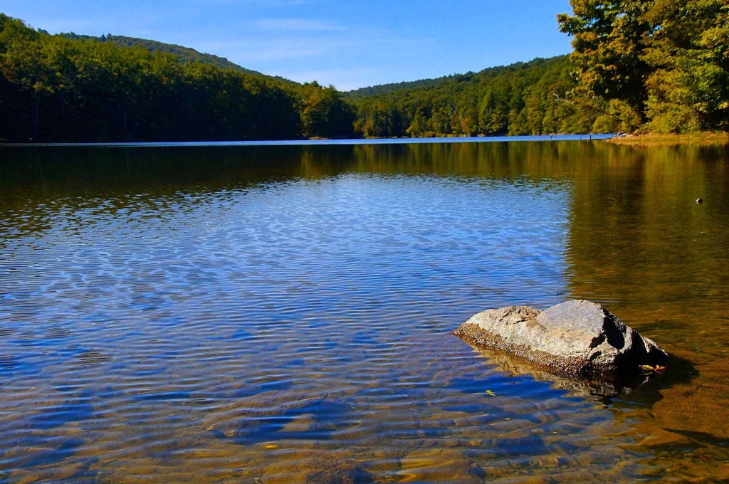 Camping in Cunningham Falls State Park