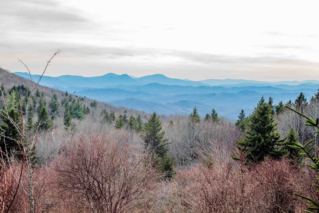 camping in Grayson Highlands State Park