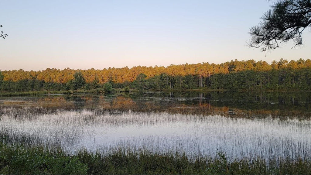 camping in timberline lake camping resort