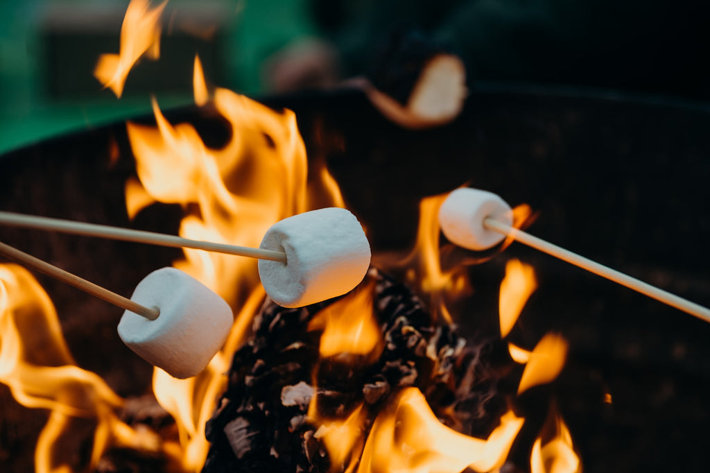 cooking over a campfire