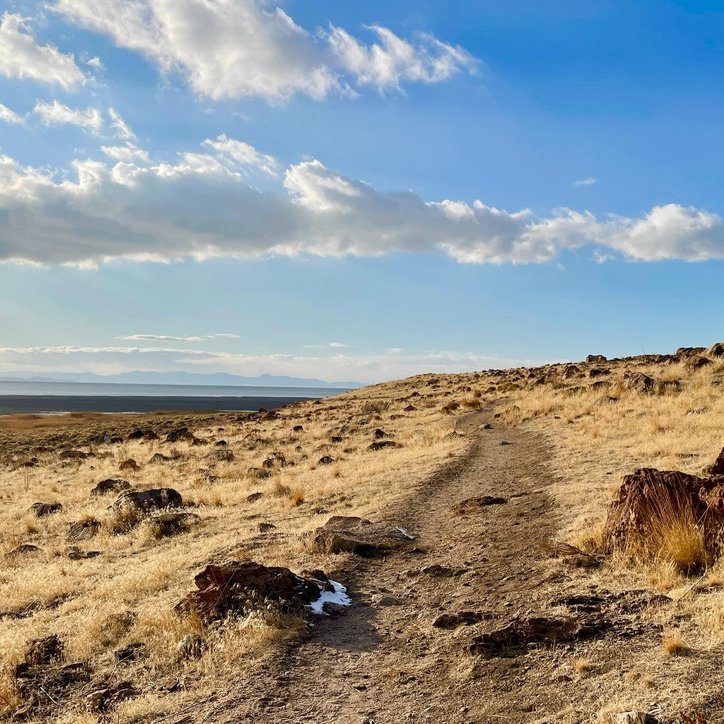 ANTELOPE ISLAND STATE PARK