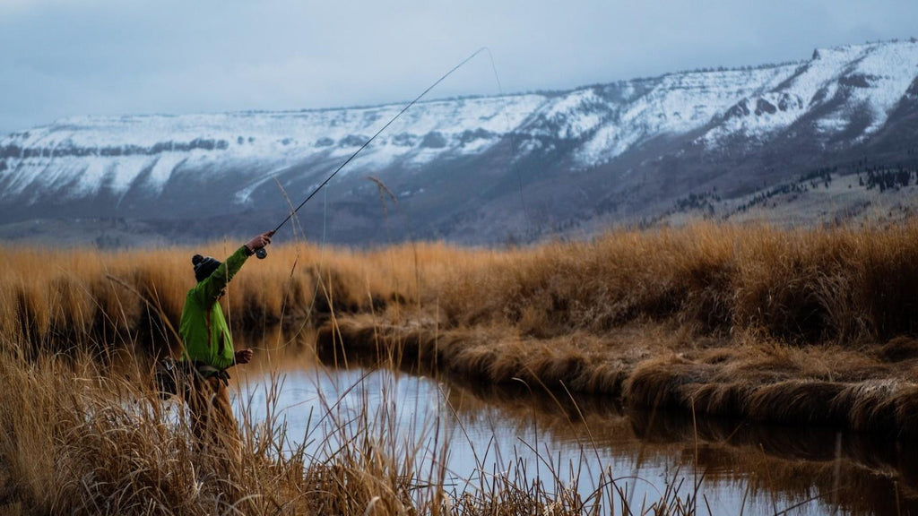 fishing for bass