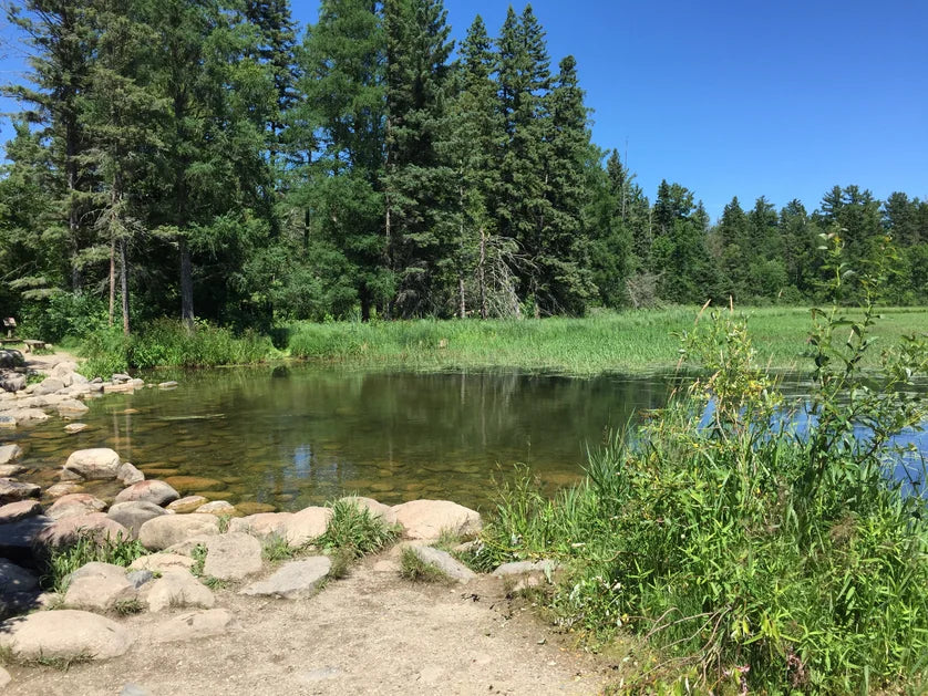  camping in Itasca State Park