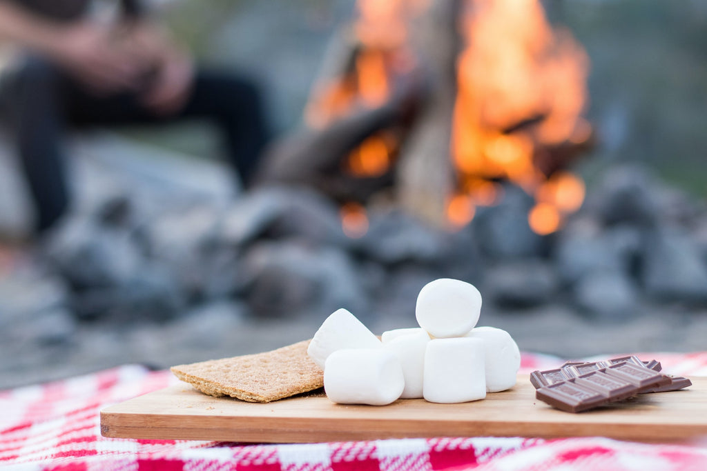 roasting marshmallow while camping