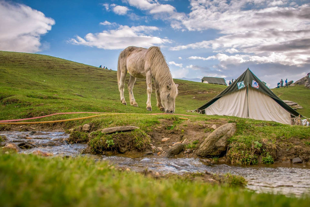 shower while camping