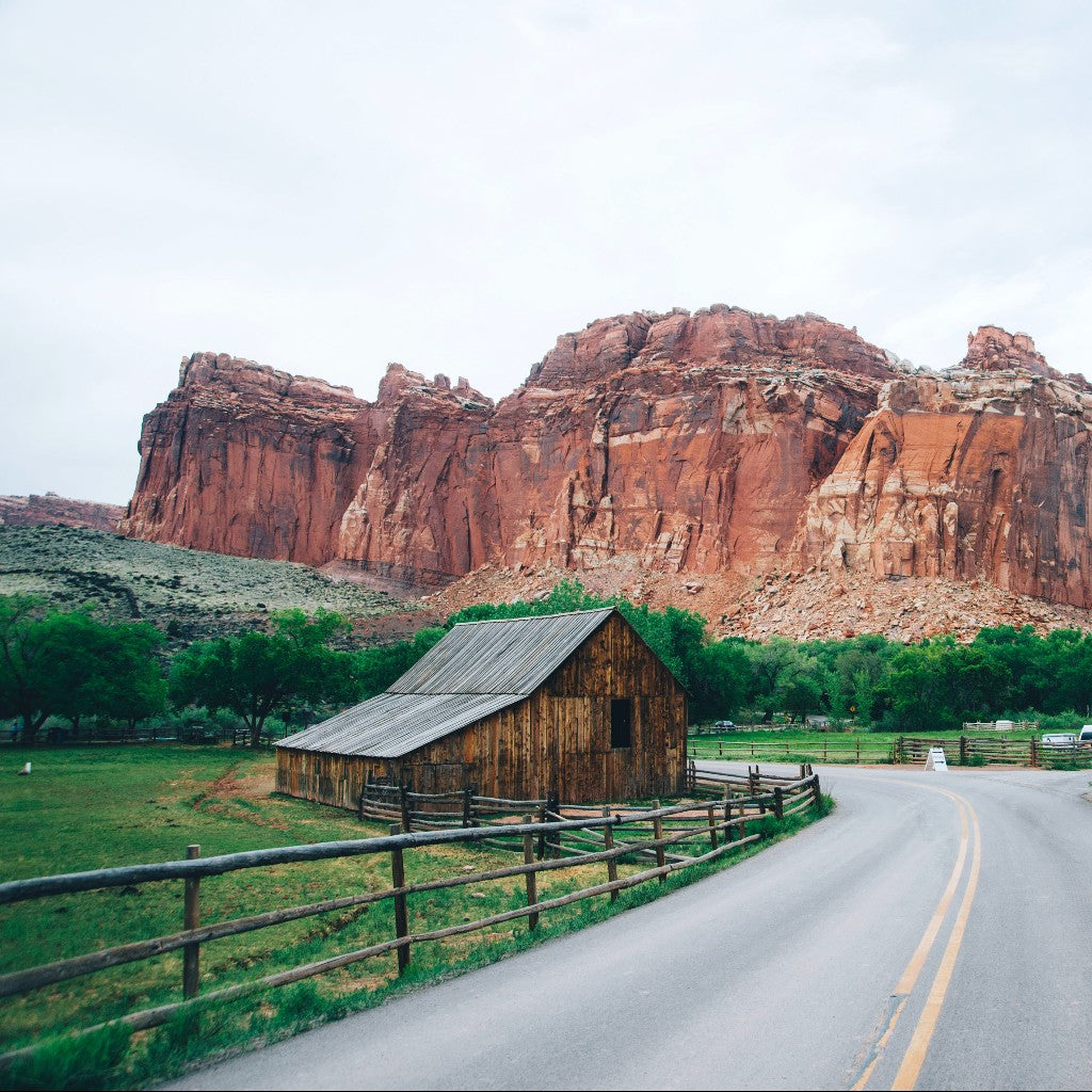 CAPITOL REEF NATIONAL PARK