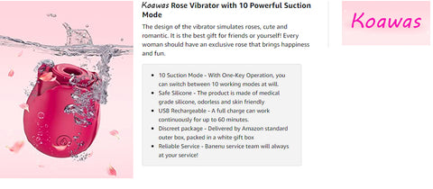 Rose Toys, Clitoral Vibrator with 10 Mind-Blowing Suction Mode, Rechargeable Clitoris Stimulating Sucking Vibrator Clit Sucker Nipple Stimulator Sex Toys for Women, Oral Sex Rose Vibrator - Red