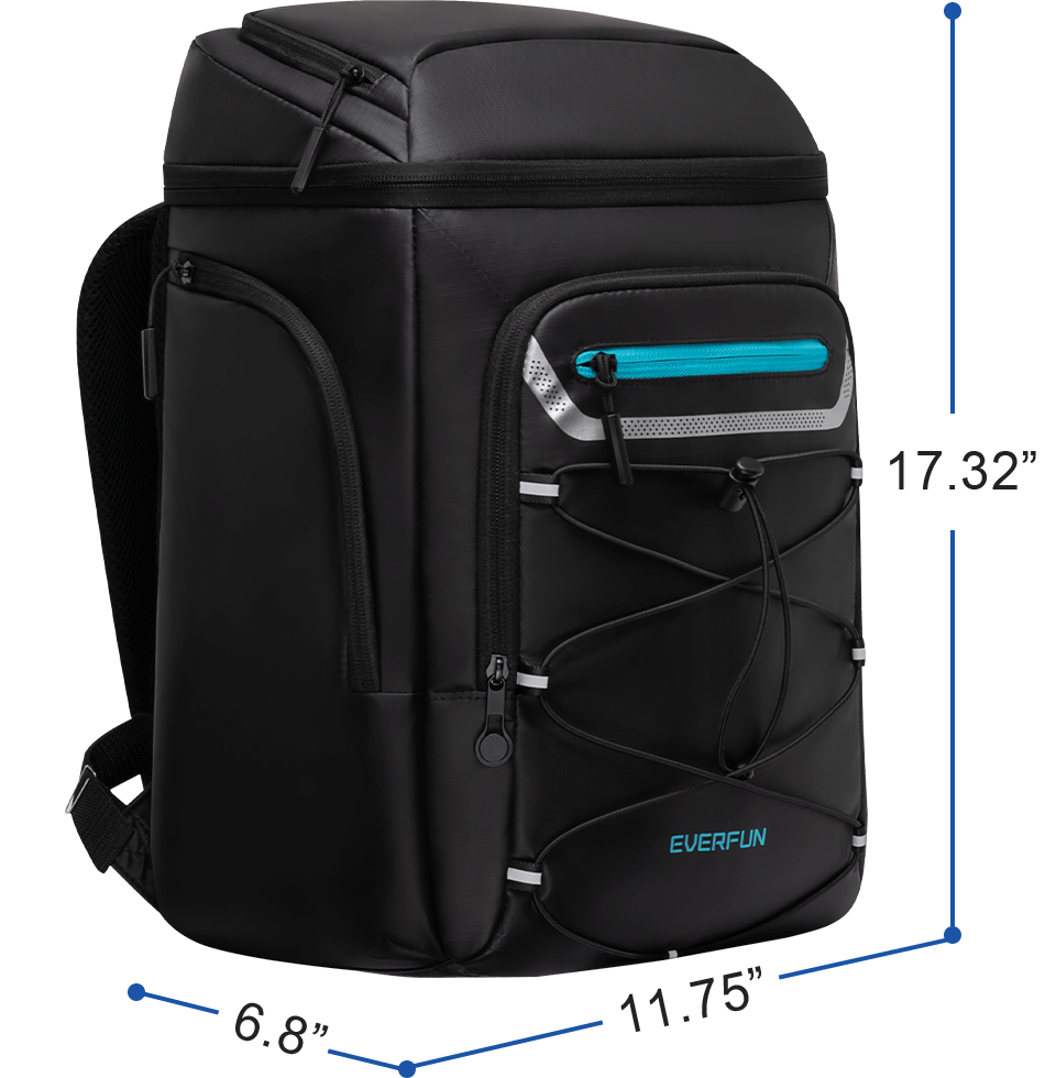 Leakproof Insulated Black Cooler Backpack