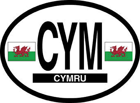 Oval Decal Wales 3.5