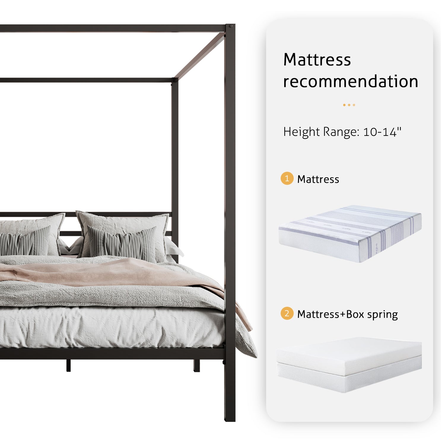 Metal Canopy Platform Bed Frame, No Box Spring Needed, Noise Free