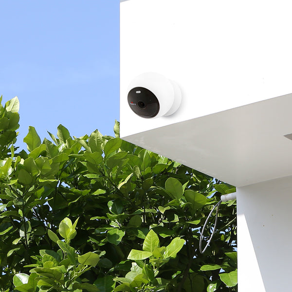 How to Blind or Block Neighbors' Security Cameras?