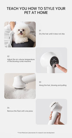 how-to-use-dog-hair-dryer