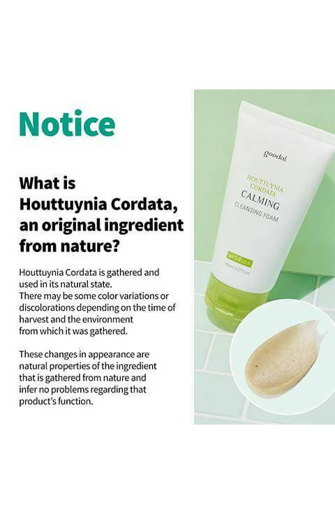 [Goodal] Houttuynia Cordata Calming PH Balancing Cleansing Foam 150ml