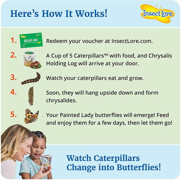 Butterfly Growing Kit