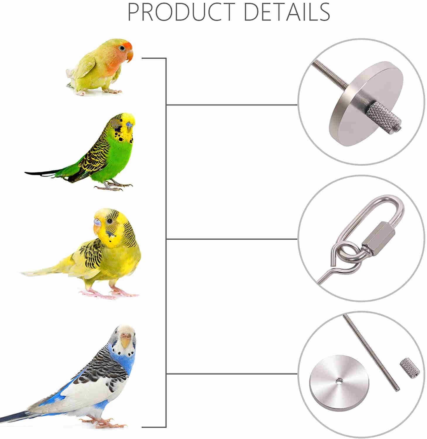Bird Food Holder