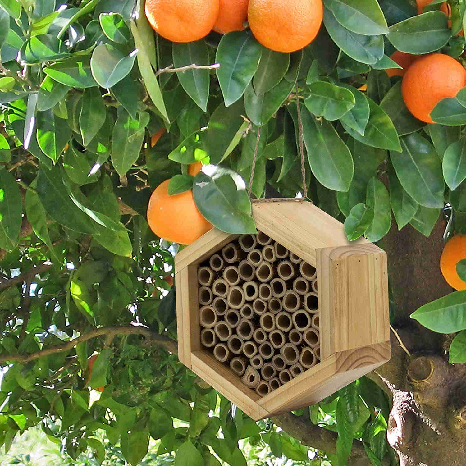 Handmade Bamboo Honey Bee Hive