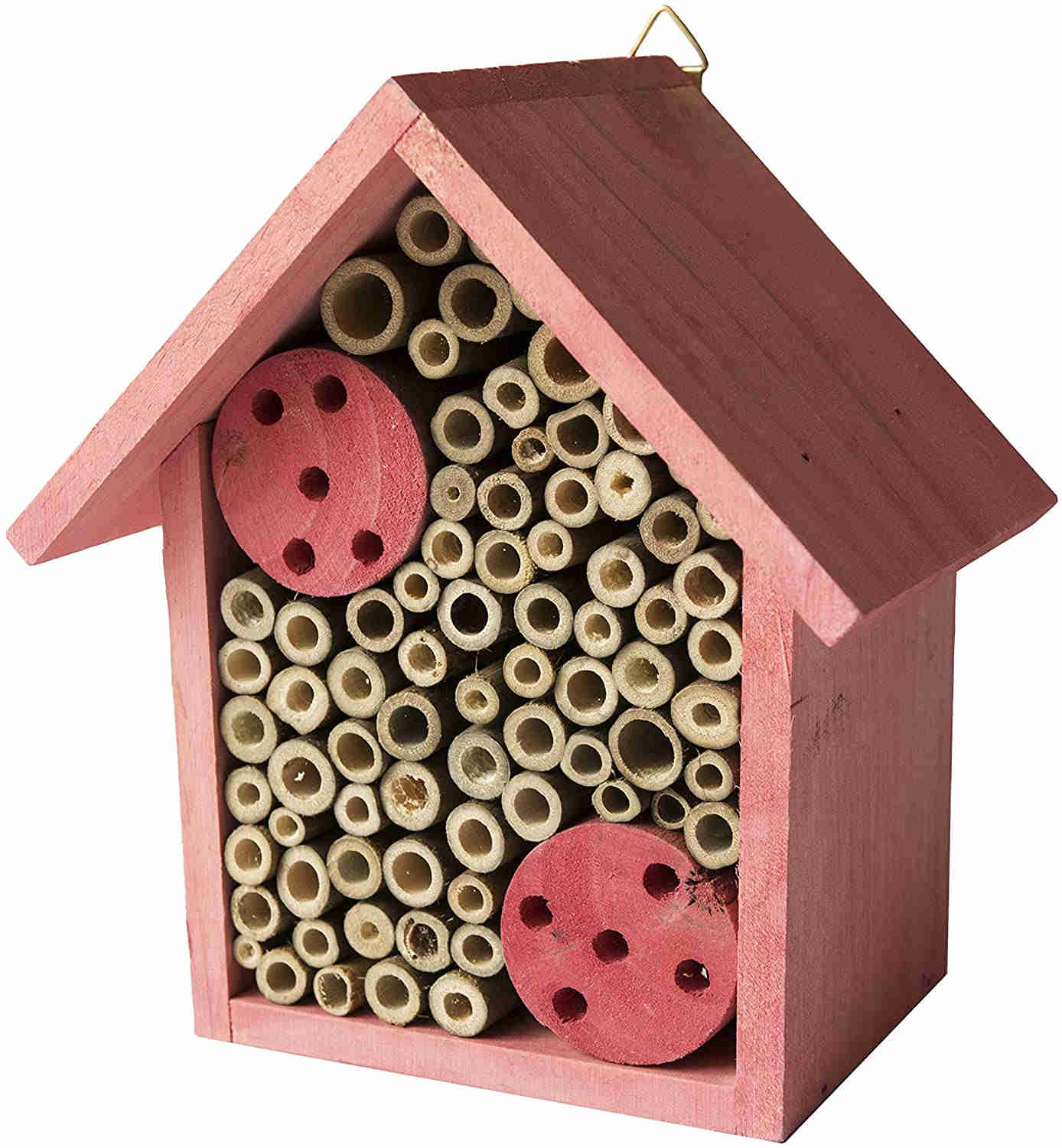 Bee Hotel for Solitary Bees