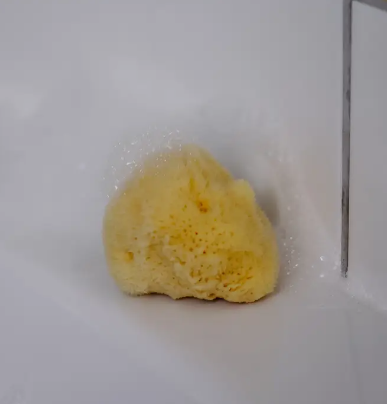 Baby Natural Sea Sponge