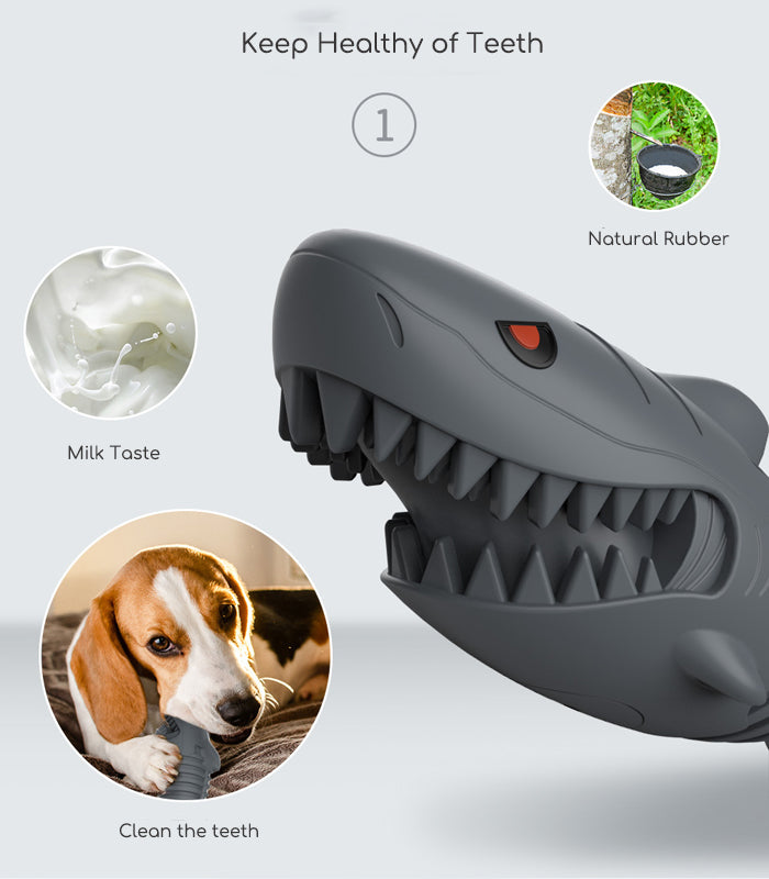 dog chew brush teeth