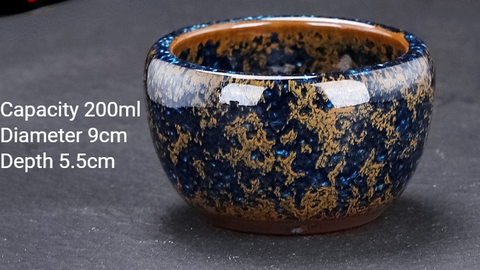 Art Tea Cup JianZhan Tenmoku Teacup Star