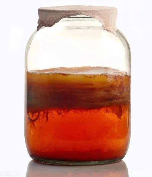 are kombucha tea bags effective