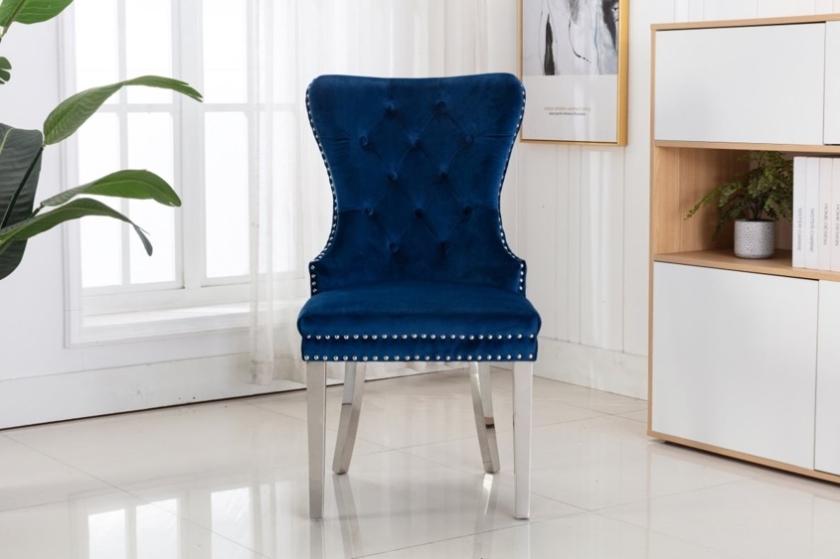 ZNTS Simba Stainless Steel 2 Piece Chair Finish with Velvet Fabric in Blue 808857819758