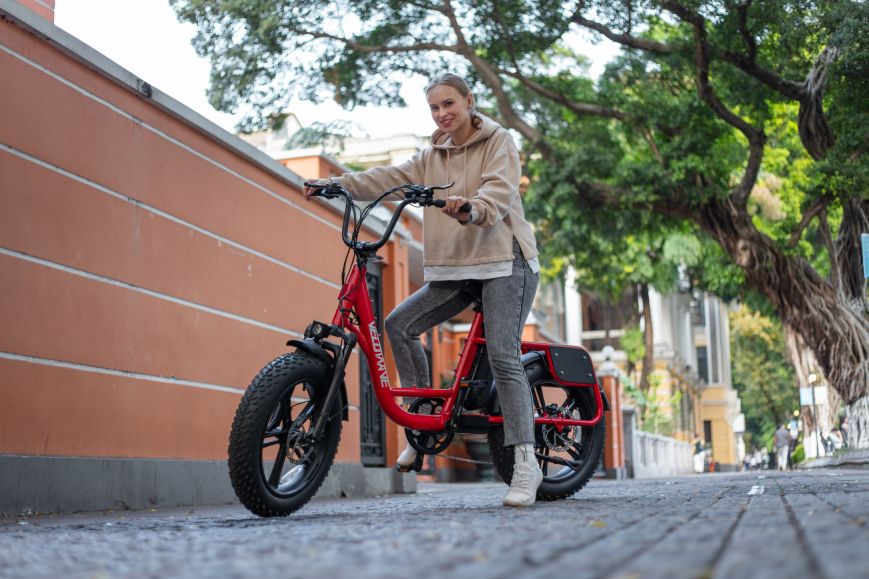 How the Electric Bike is Changing Travel?