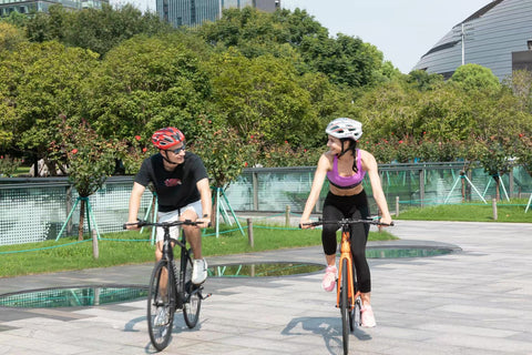 Velowave Electric Bike