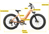 Products
Rover Step-Thru Electric Bike